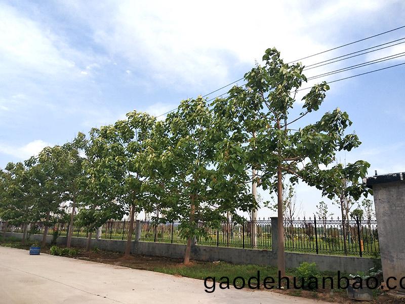 濟寧(ning)市大(da)氣環(huan)境(jing)質量(liang)2015年(nian)12月份(fen)13縣(xian)市(shi)區(qu)排(pai)名(ming)