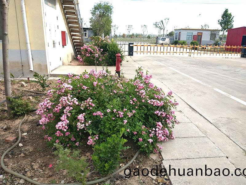 廠(chang)景圖(tu)