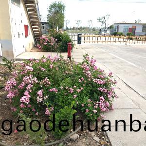 廠(chang)景圖(tu)