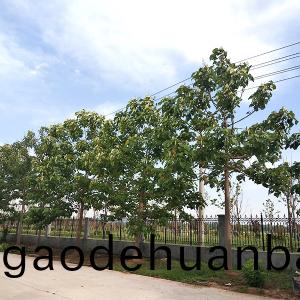 廠(chang)景(jing)圖