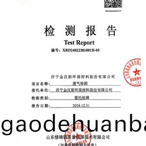 檢(jian)測報告（2024.12.31）