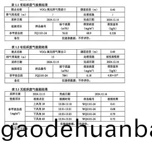 檢測(ce)報(bao)告（2024.12.31）