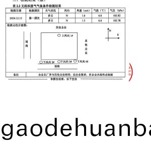 檢(jian)測(ce)報(bao)告（2024.12.31）